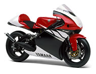 TZ250 (2003年モデル)